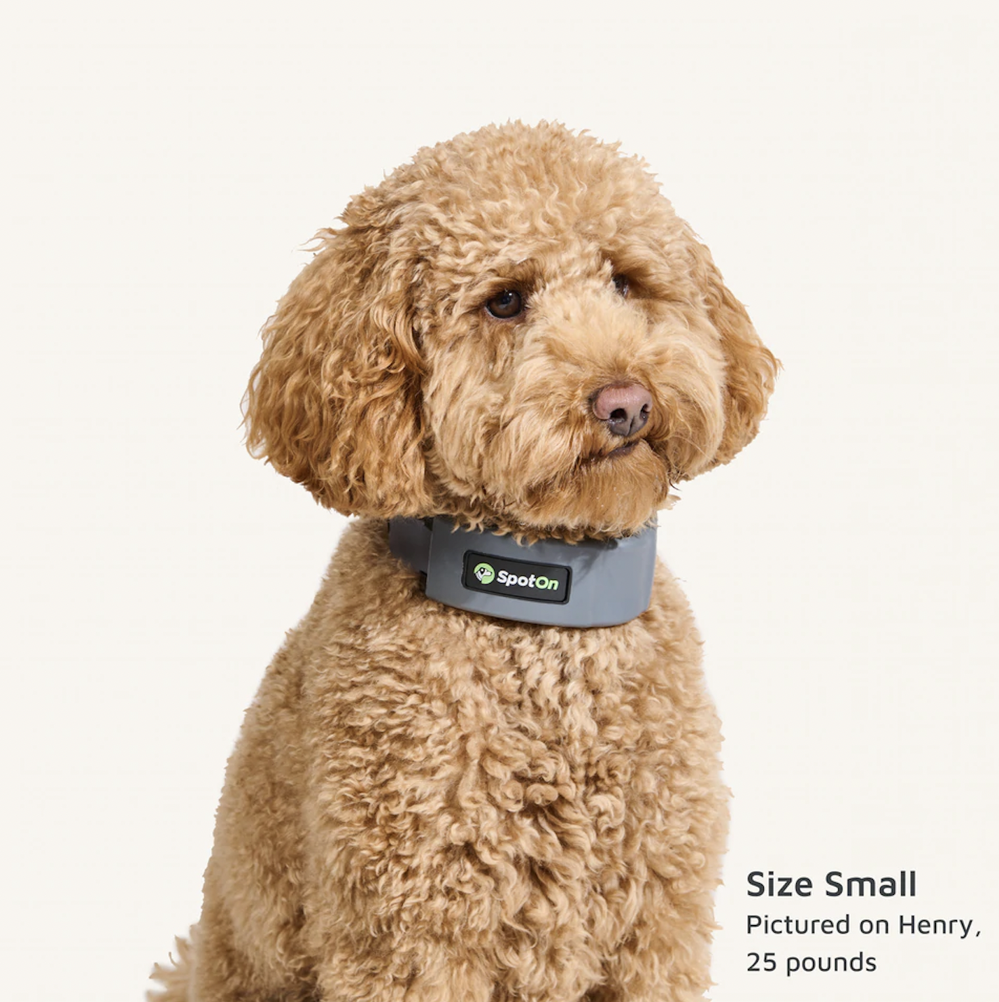 Halo Dog Collar vs SpotOn Dog Collar